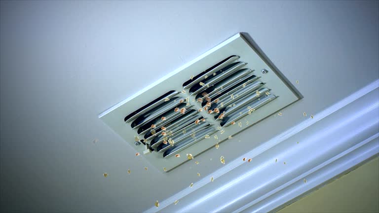 Air Duct Mold Removal in Madison, GA