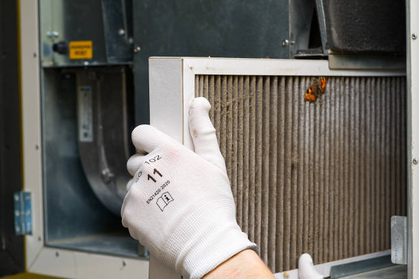 Best Professional Duct Cleaning Services  in Madison, GA