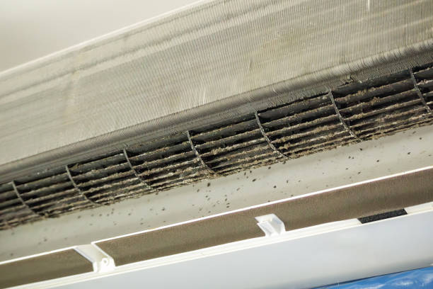 Best Affordable HVAC Duct Cleaning  in Madison, GA